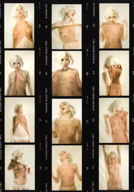 Product Monroe